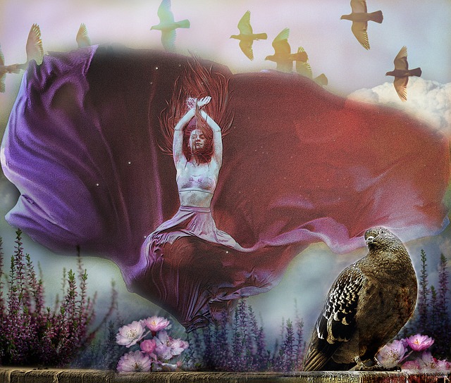 表演项目 表演项目