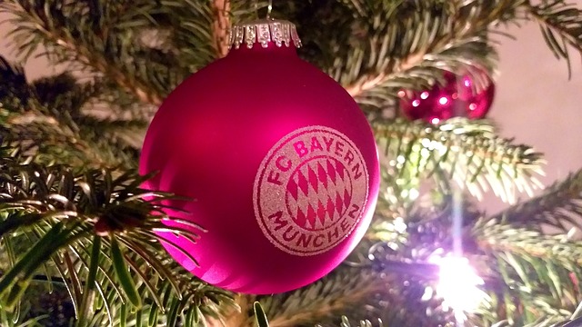 可以看到 可以看到