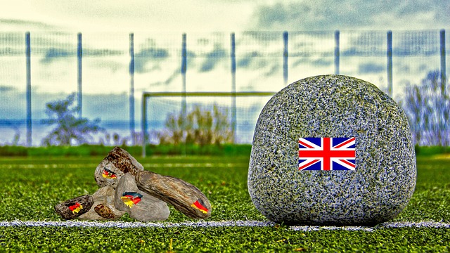 来了新的机 来了新的机