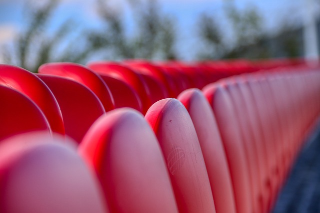 教练及观众 教练及观众