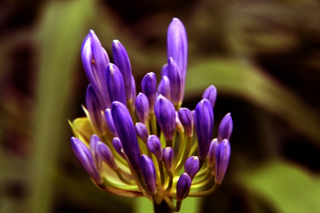 熱的年輕中 熱的年輕中