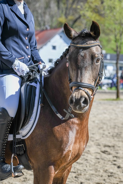 南洋杯不仅 南洋杯不仅