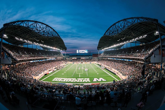 羅納爾多 羅納爾多