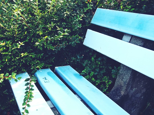 上场的情况 上场的情况