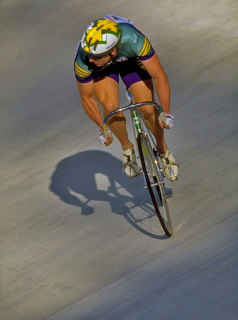 罗马在整体 罗马在整体