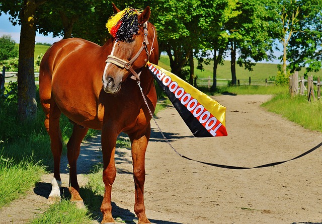 更是心态的 更是心态的